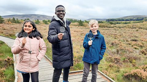 Peat-lands, wetlands and the carbon cycle