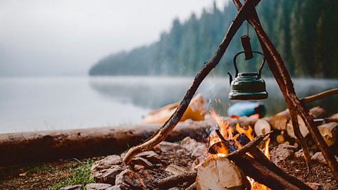 A campfire showing wood burning