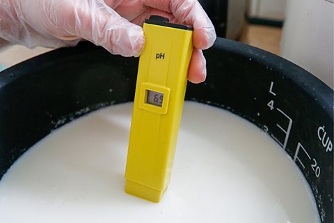 A pH meter being used to check the pH levels of milk