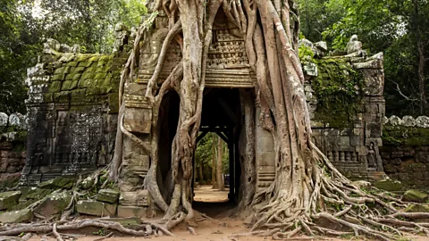 Kriangkrai Thitimakorn/Getty Images Abandoned in the 15th Century, Angkor was only "rediscovered" in the 1860s (Credit: Kriangkrai Thitimakorn/Getty Images)