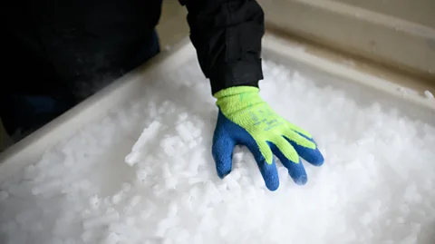 Getty Images Currently, all Covid-19 vaccines need to be refrigerated. But this may be about to change (Credit: Getty Images)