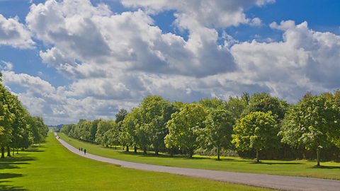 The Long Walk in Windsor Great Park. A paved path with short grass and trees running along either side.