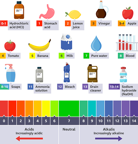 A chart showing the pH scale and foods and liquids which have that pH, for example pure water is neutral 7, a banana is 5, and bleach is 12
