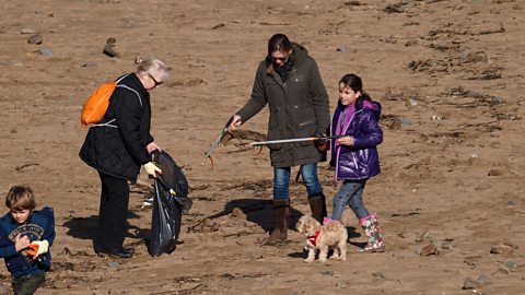 People taking part in a ‘beach clean-up’.