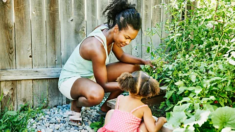 Getty Woman and child gardening together