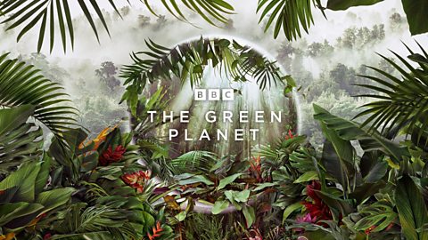 The Green Planet