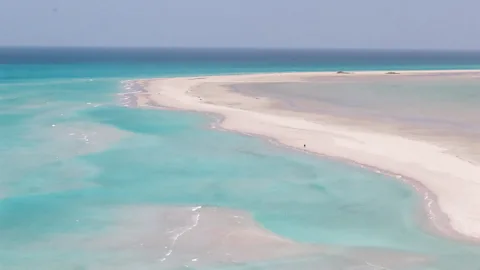 Geri Moore That tiny dot on the beach is Ellai, who lives all alone in the vast Detwah Lagoon (Credit: Geri Moore)