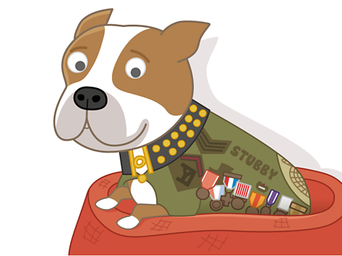 Who was Sergeant Stubby BBC Bitesize