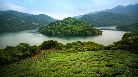 toonman/Getty Images Chou says he's walked more than 10,000km in Taiwan (Credit: toonman/Getty Images)