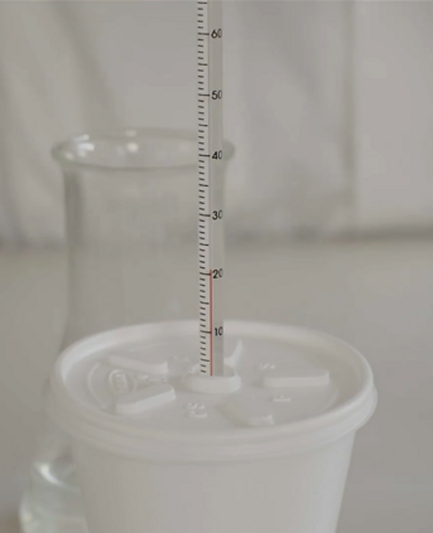 An insulated cup with a lid