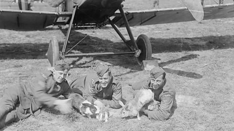 RAF men with pet rabbits on the Western Front in France during World War One.