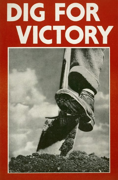 A poster with the slogan 'Dig for Victory', with a black and white picture of a foot on a spade digging in soil underneath.