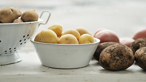 Different varieties of potatoes