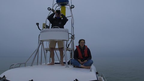 Scientist Dr Sarah Perry sitting on a boat, out in the sea.