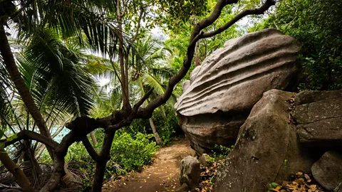 PhotoStock-Israel/Alamy Thanks to Grimshaw and Lafortune's work, Moyenne is crisscrossed by nature trails today (Credit: PhotoStock-Israel/Alamy)