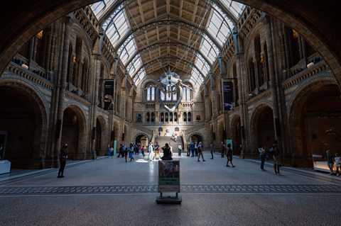 Inside the Natural History Museum in London.