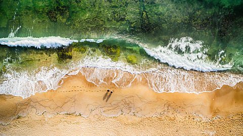 Algae turning the colour of the sea green