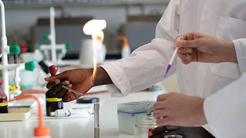 Bunsen burner being used in an experiment in a school lab