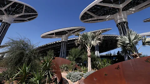 Francois Nel/Getty Images Giant solar "trees" help the Sustainability Pavilion generate energy as well as providing shade (Credit: Francois Nel/Getty Images)