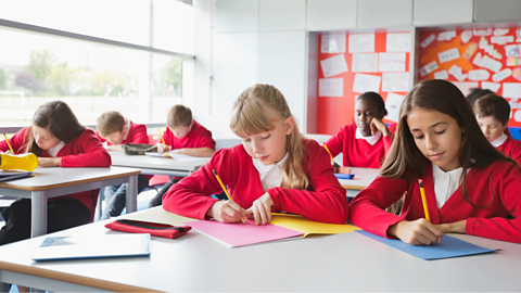 Pupils working in classroom