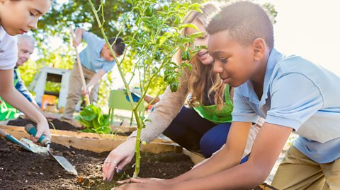 Live discussion: How do we teach children about climate change?