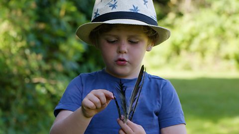 A little boy in a hat is counting feathers while on a walk in a green space. He is wearing a blue t-shirt.