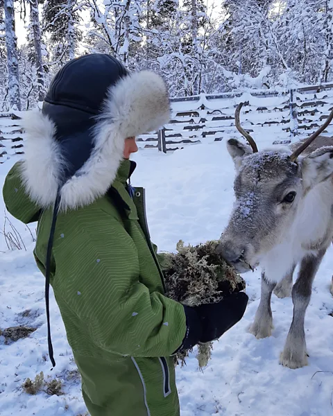 Angeli Reindeer Farm Traditionally, Sámi children are encouraged to be independent and self-reliant (Credit: Angeli Reindeer Farm)