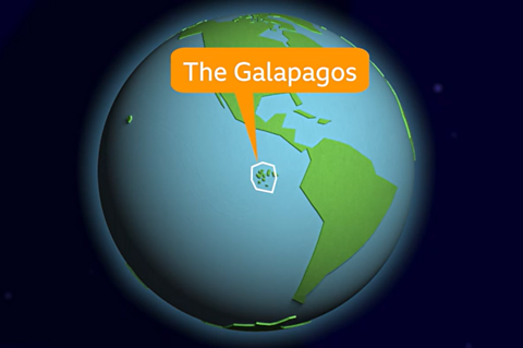A globe showing the Galapagos Islands in the Pacific Ocean. 