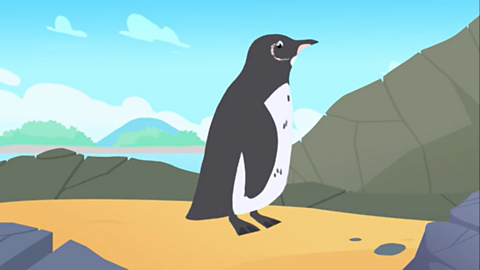 A cartoon penguin.