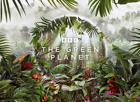 Green planet promo image