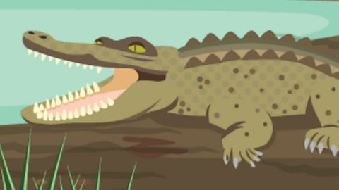 Cartoon of a crocodile. 