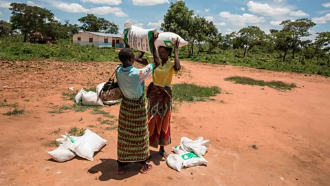 Guillem Sartorio / Getty Two women in Zambia carry food bags distributed by aid organisations in January 2020 (Credit: Guillem Sartorio / Getty)