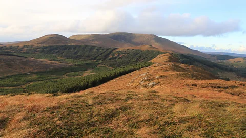 Yvonne Gordon From the Correen More lookout point, you can see hills, valleys, forests, lakes and miles of bogland (Credit: Yvonne Gordon)