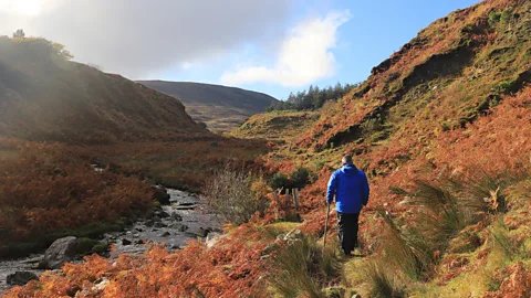 Yvonne Gordon Michael Chambers, head guide at Wild Nephin National Park, leads a hike along the Altaconey River (Credit: Yvonne Gordon)