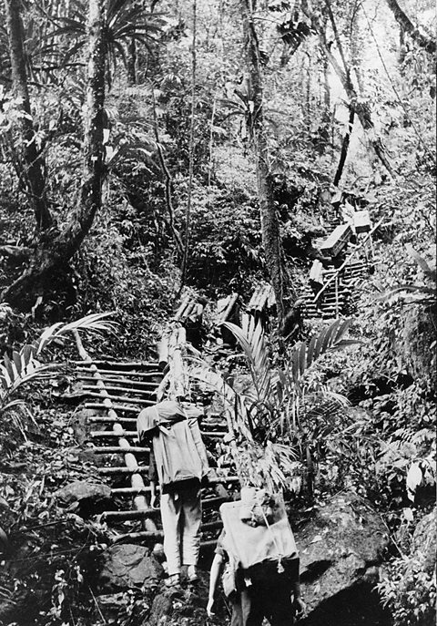 A photograph of people carrying supplies up log steps on the Ho Chi Minh Trail