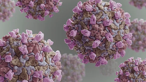 Alamy Coxsackie B virus has been linked to the development of type 1 diabetes – and now scientists are wondering if Covid-19 could also make people more susceptible (Credit: Alamy)