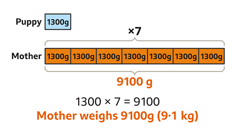 The same main values. The seven blocks are all shaped orange and valued one-thousand three-hundred grams. Written below: Nine-thousand one-hundred grams. ‘Mother weighs nine-thousand one-hundred grams; nine point one kilograms in brackets – all highlighted.