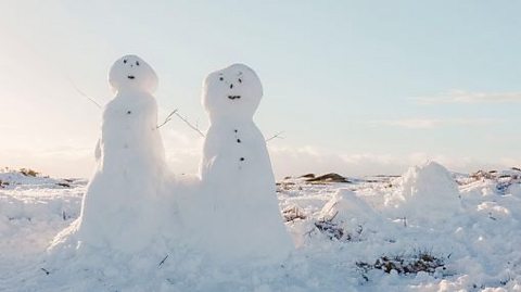 The history and science of snowmen