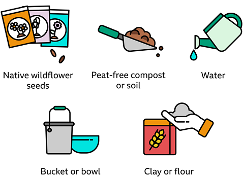 Native wildflower seeds, Peat-free compost or soil, water, bucket or bowl, clay or flour