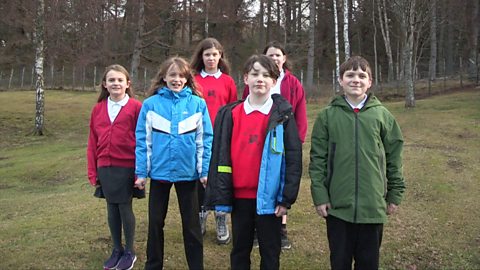 Our Forests with Braemar Primary School