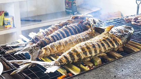 Andrea Comi/Getty Images The waters that surround Seychelles are some of the richest fishing grounds on the planet (Credit: Andrea Comi/Getty Images)