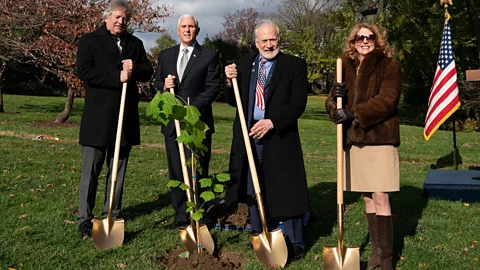 Rosemary Roosa Descendents of the Moon Tree seeds have even been planted at the White House (Credit: Rosemary Roosa)