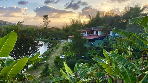 Richard Morgan Bacoa has been described as "seriously one of the most special restaurants in America" (Credit: Richard Morgan)