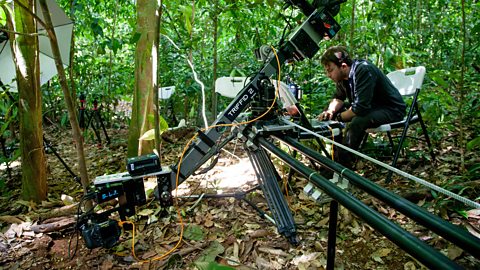 An image of someone operating a camera in the middle of a forest. 