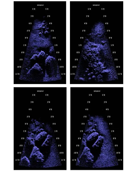 Sear et al 2013 Imaging of masonry from St Peter’s from the explorations done by Sear and his team (Credit: Sear et al 2013)