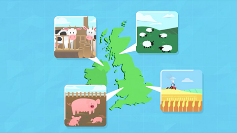 A cartoon map of the UK with four labels showing different agricultural resources including pigs, cows, sheep and crops. 