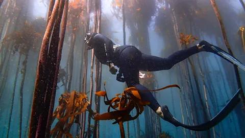 The nation finding peace underwater