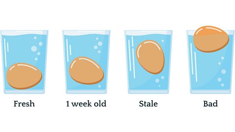 Will eggs float if they are off? illustration of four eggs in glasses of water, fresh (egg at bottom), 1 week old (hovering slightly off the bottom), stale (midway up glass), bad (egg floating on top)