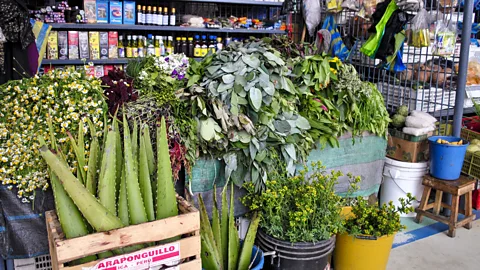Martha Barreno /VW Pics/Universal Images Group via Getty Images Curanderos sell medicinal herbs from stalls and shops across Quito (Credit: Martha Barreno /VW Pics/Universal Images Group via Getty Images)