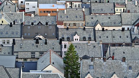 Different slate roofs in a town